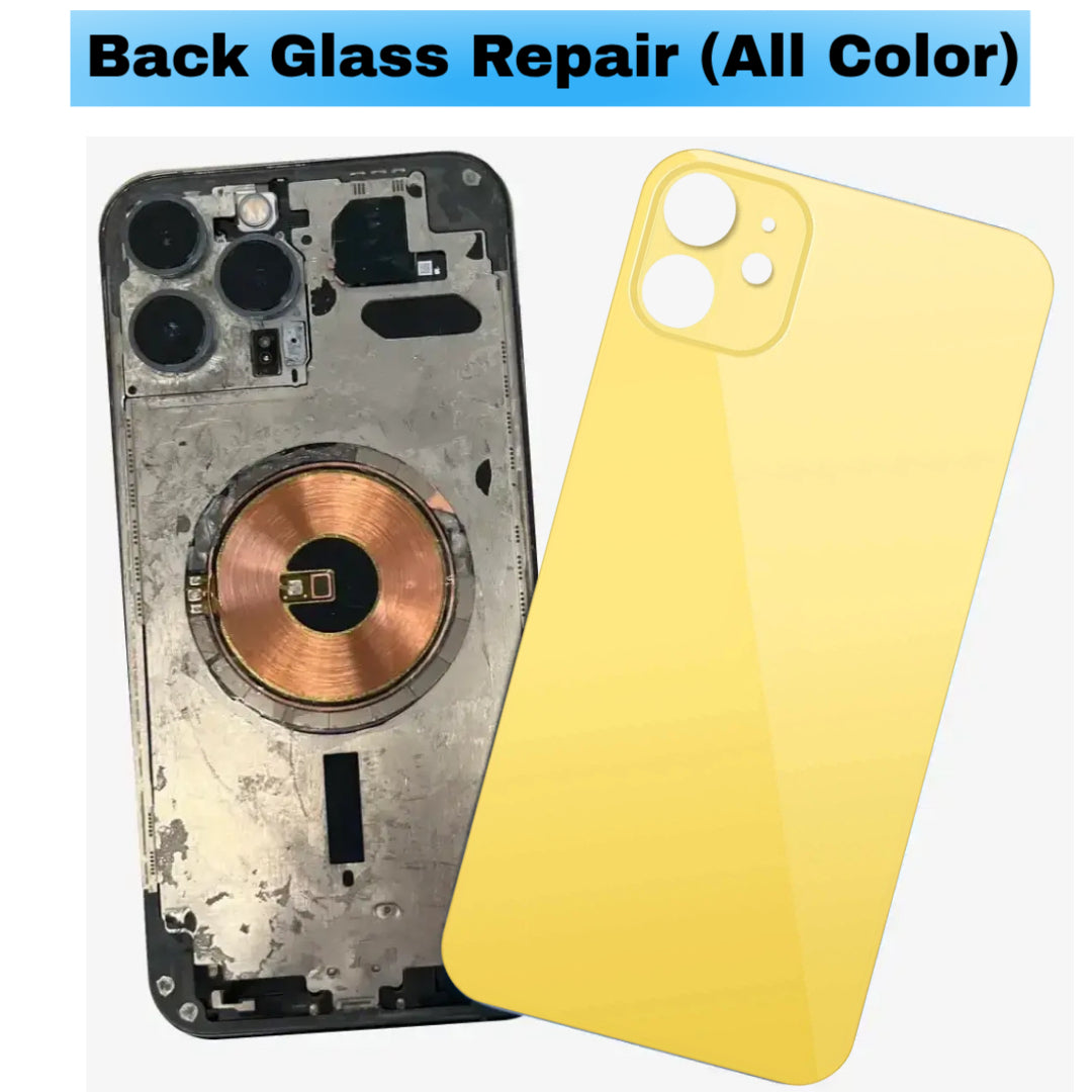 For iPhone 11 Back Glass Repair (All Color)